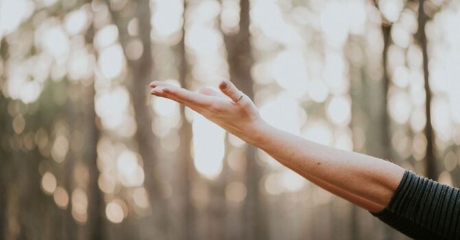 What is Spinal Flow Technique? image